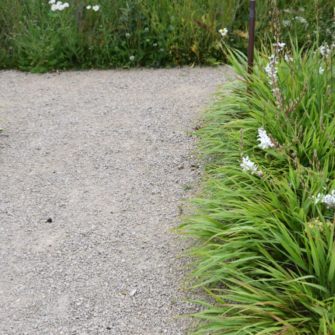 designing with ornamental grasses